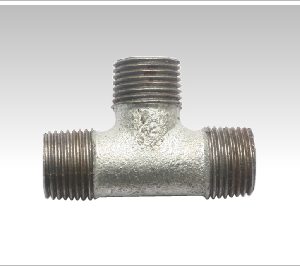 Cút ren (Sao chép)