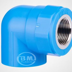 co-ren-thau-trong-ppr-binh-minh