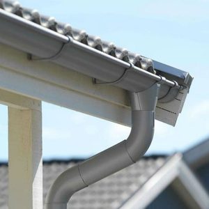 Mang Hung Nuoc Mua Tien Phong