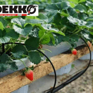 Ống dẫn trơn kết hợp với một số phụ kiện tưới rời