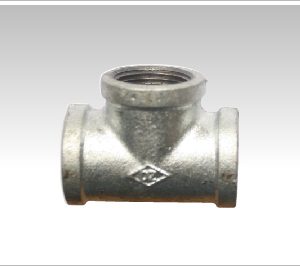 te-deu-kem-ren-trong