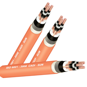 cap-3-loi-man-chan-bang-dong-giap-soi-thep-3-6-67-2kv-cadisun