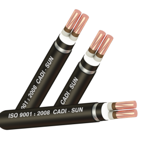 Cáp chống cháy FRL-CXL 4X (Sao chép)