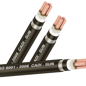 Cáp chống cháy FRL-DSTA 3X (Sao chép)