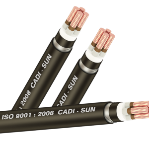 Cáp chống cháy FRL-DSTA 3X+1 (Sao chép)