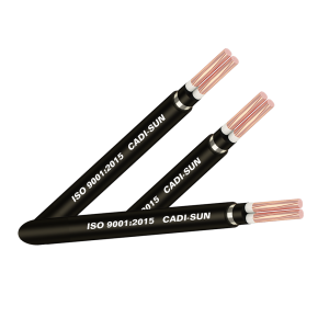 Cáp đồng 4 ruột, bọc cách điện XLPE, vỏ bọc PVC_CXV 3x+1 (Sao chép)