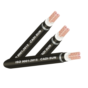 Cáp đồng ngầm 2 ruột_DSTA 2x (Sao chép)