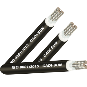 Cáp nhôm 2 ruột, cách điệnXLPE, vỏ bọc PVC_AXV2x (Sao chép)