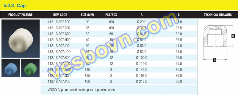 Hình ảnh thông số kỹ thuật của Nút bịt PPR Vesbo