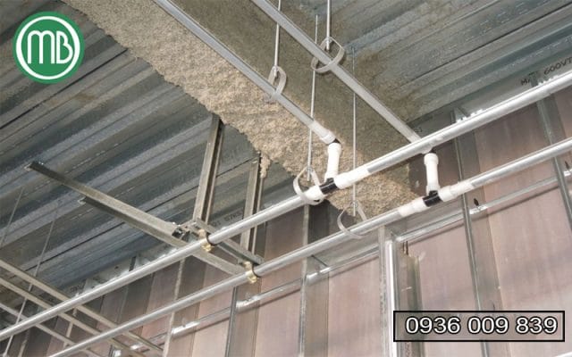 Thi Cong Thanh Re321n