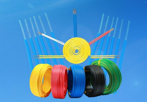 480 Crop Day Dan Dung Copy 2