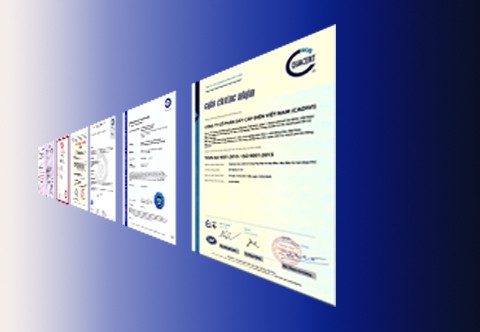 480 Crop Chung Nhan 1