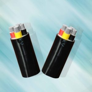 AV – 0,6/1 kV CÁP ĐIỆN LỰC, RUỘT NHÔM, CÁCH ĐIỆN PVC (Sao chép)
