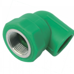 cut-ren-trong-90-do-ppr-dekko