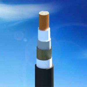 CVV/AWA − 0,6/1 kV & CVV/SWA − 0,6/1 kV CÁP ĐIỆN LỰC, RUỘT ĐỒNG, CÁCH ĐIỆN PVC, GIÁP SỢI KIM LOẠI, VỎ PVC (Sao chép)