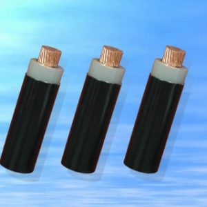 CVV − 0,6/1 kV CÁP ĐIỆN LỰC, RUỘT ĐỒNG, CÁCH ĐIỆN PVC, VỎ PVC (Sao chép)